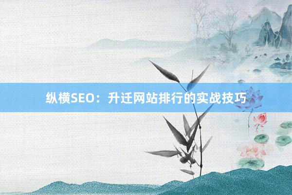 纵横SEO：升迁网站排行的实战技巧